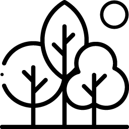drzewa