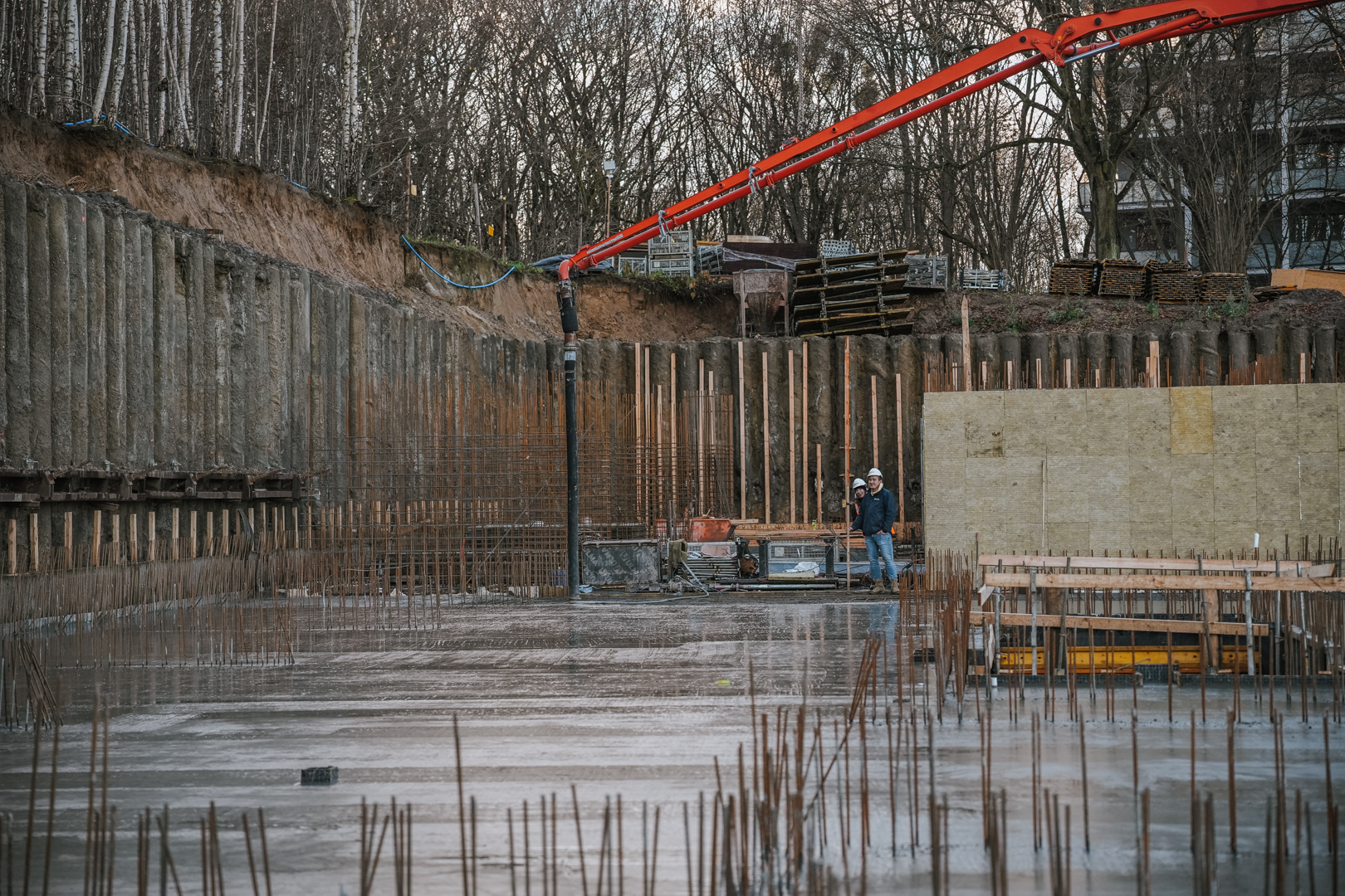 Quercus listopad grudzien 2025 małe 24