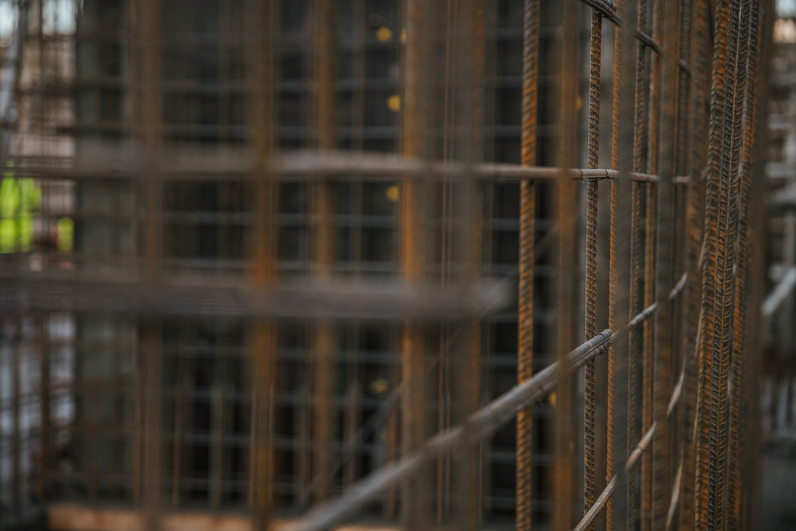 Quercus listopad grudzien 2025 małe 26