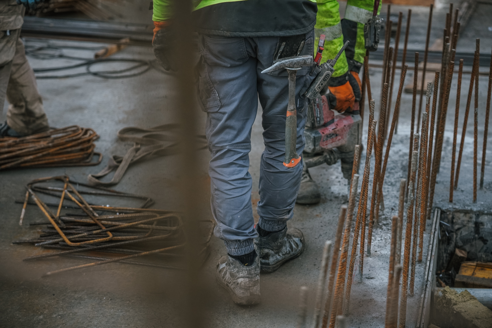 Quercus listopad grudzien 2025 małe 30