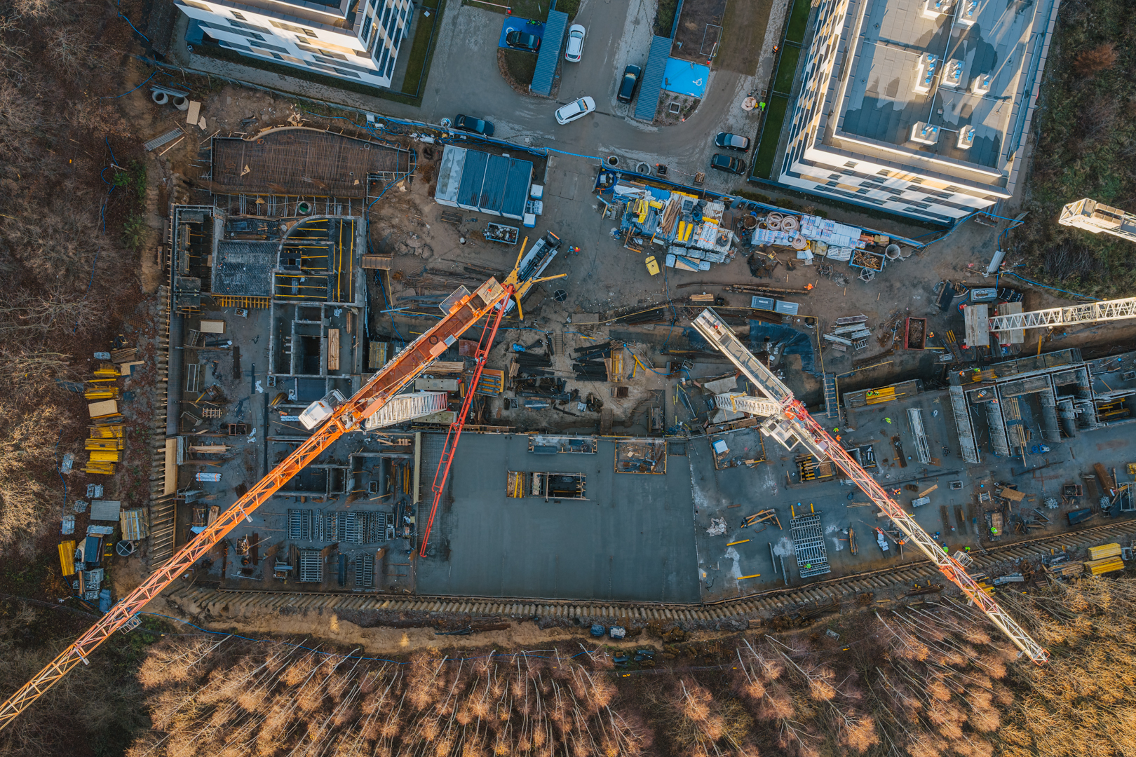 Quercus listopad grudzien 2025 małe 49