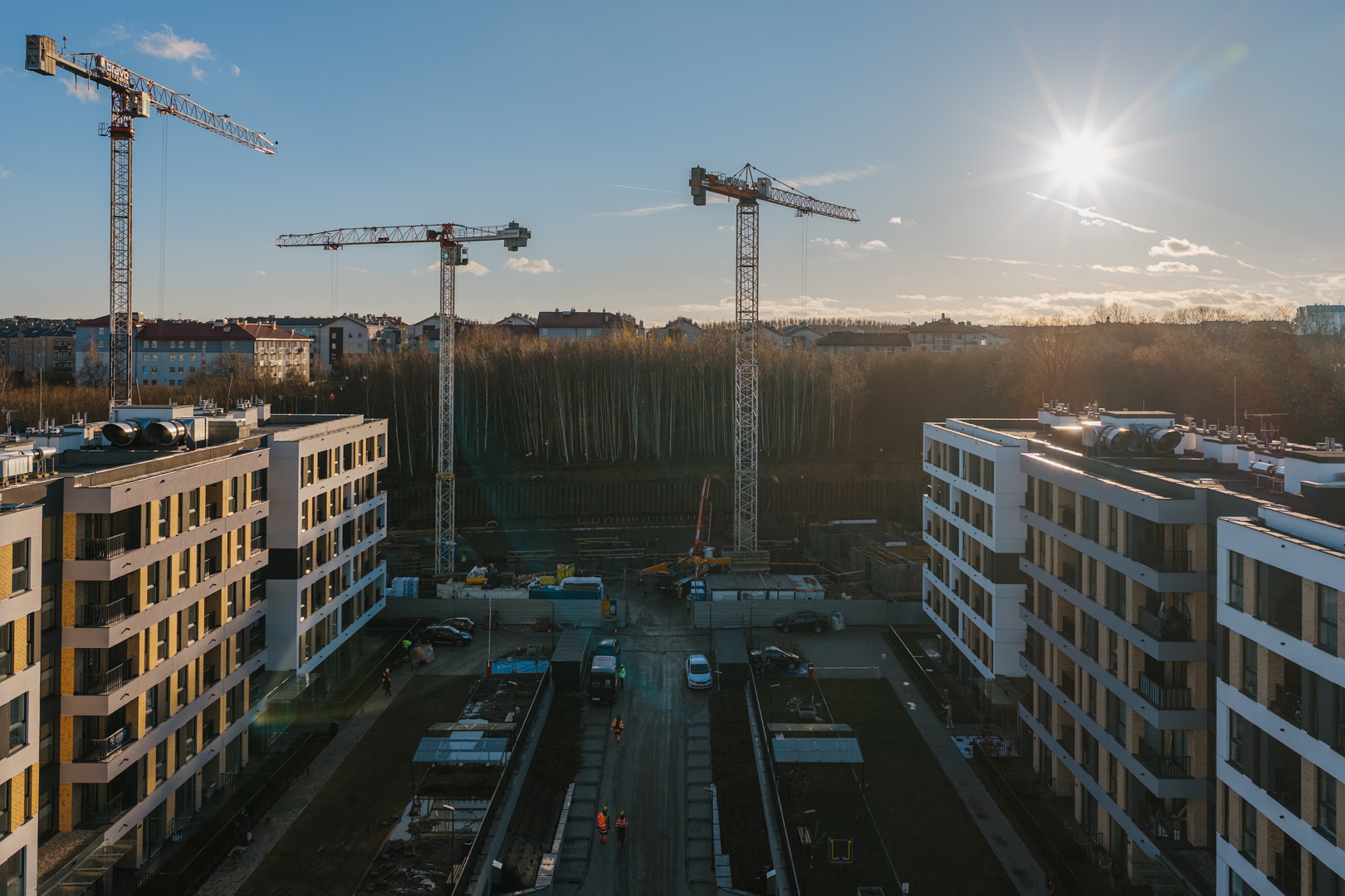 Quercus listopad grudzien 2025 małe 54
