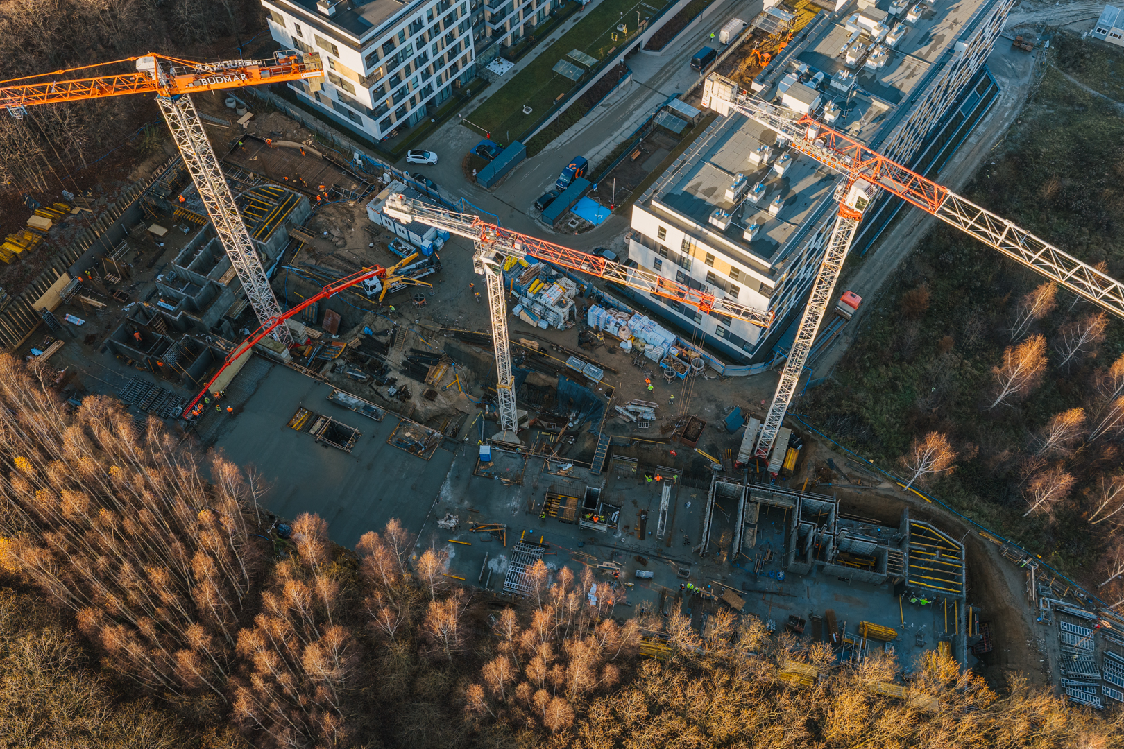 Quercus listopad grudzien 2025 małe 57