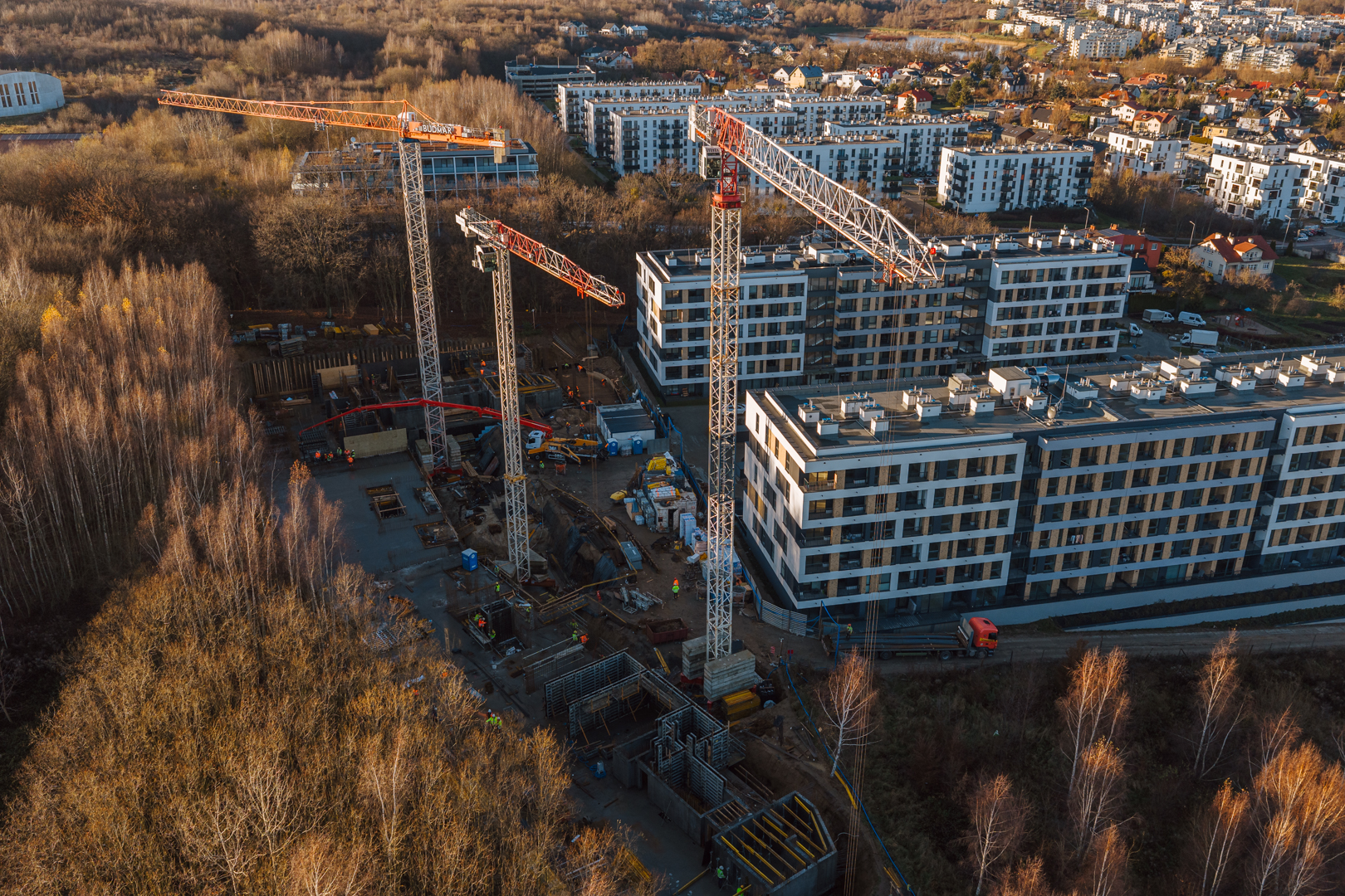 Quercus w listopadzie 2025