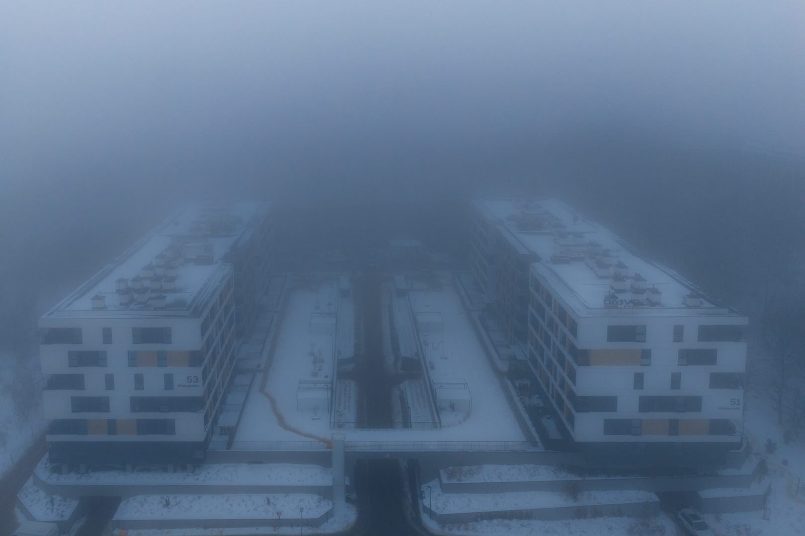 Quercus w styczniu 2026