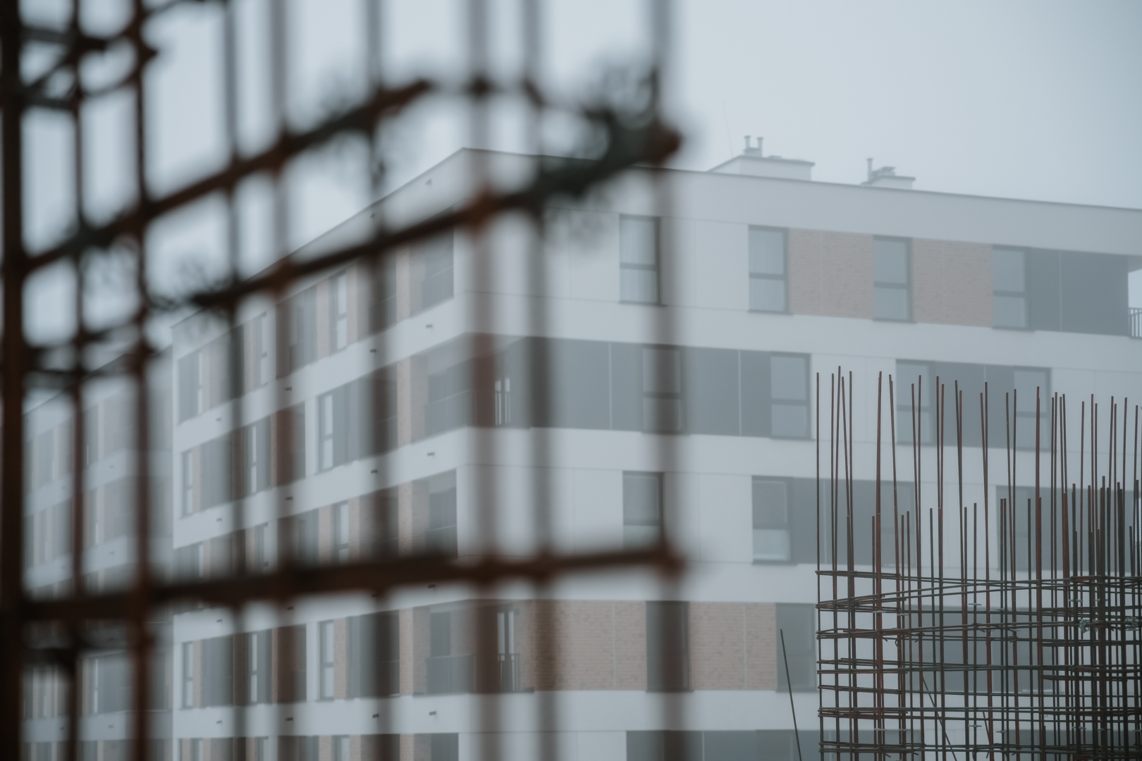 2026 Styczeń Quercus małe 45