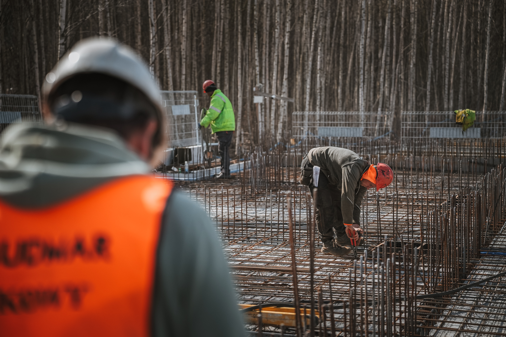 Quercus Marzec 2026 małe 63